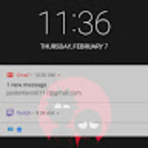 Meet your Posher, Chase